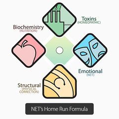 NET mind-body approach