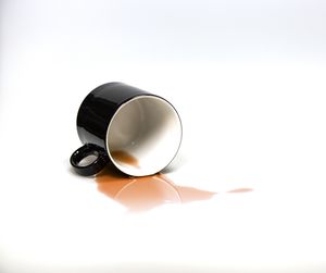 The Dog Fight In My Brain — Connection Point Coaching